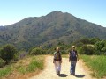 Blithedale Ridge - Corte Madera